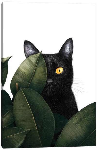 Black Cat In Ficus Canvas Art Print - Black, White & Green