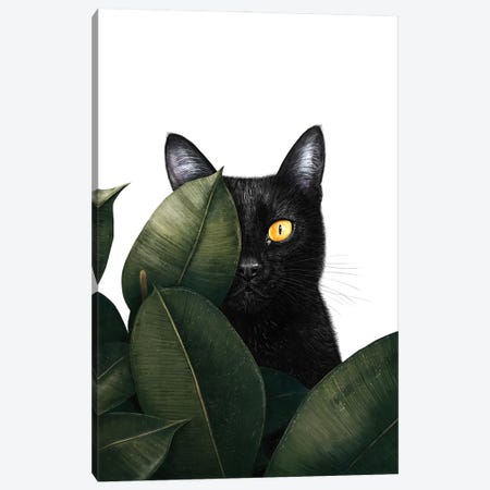 Black Cat In Ficus Canvas Print #VAK183} by Valeriya Korenkova Canvas Art Print