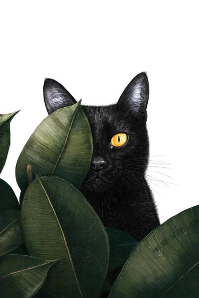 Black Cats: Black Cat In Ficus by Valeriya Korenkova