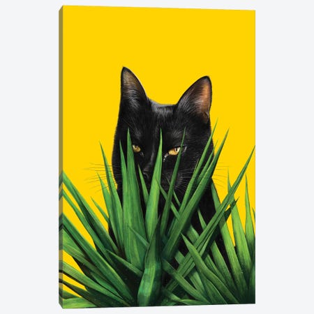 Black Cat In Leaves Canvas Print #VAK184} by Valeriya Korenkova Canvas Wall Art
