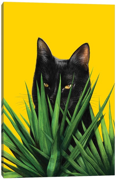 Black Cat In Leaves Canvas Art Print - Valeriya Korenkova