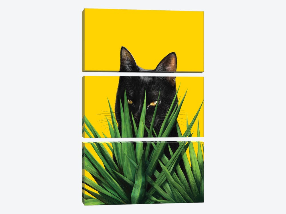 Black Cat In Leaves by Valeriya Korenkova 3-piece Canvas Artwork