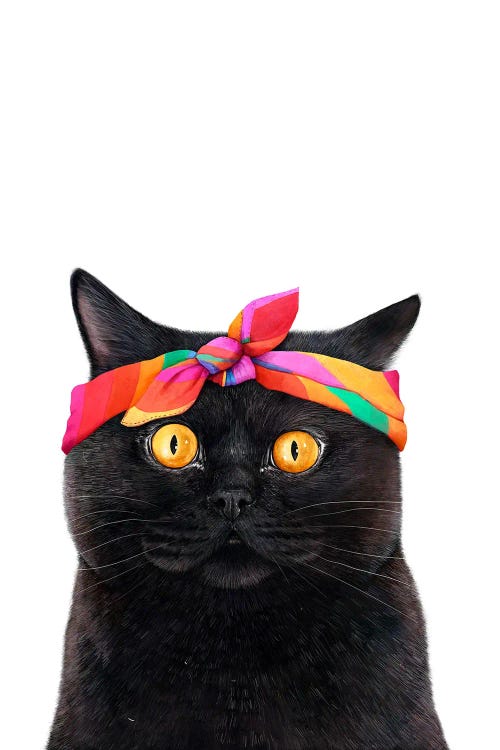 Black Cat With Bandana