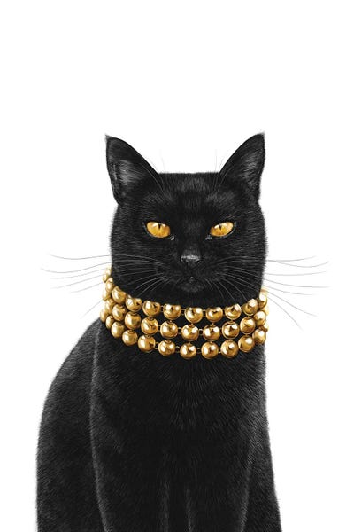 Black Cats: Luxury Black Cat by Valeriya Korenkova