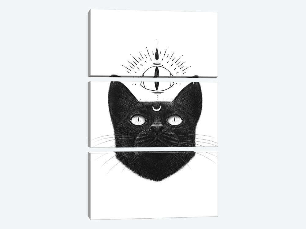 Lucky Black Cat by Valeriya Korenkova 3-piece Canvas Print