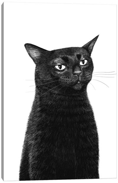 Zooning Out Cat Canvas Art Print - Black Cat Art
