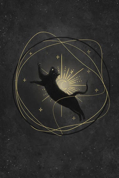 Astrology: Cosmic Black Cat by Valeriya Korenkova
