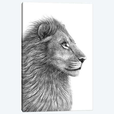 Lion Canvas Print #VAK1} by Valeriya Korenkova Canvas Art