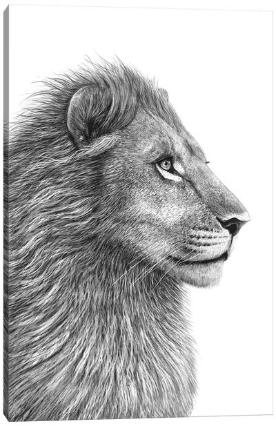 Lion Canvas Art Print - Valeriya Korenkova