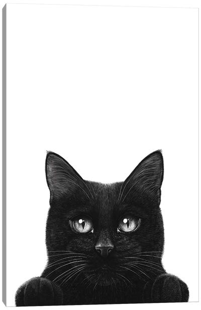 Peeping Black Cat With Paws Canvas Art Print - Black & White Minimalist Décor