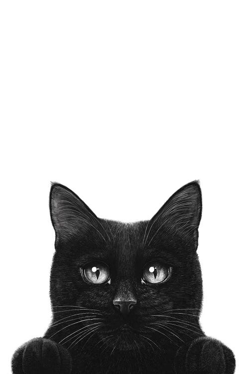 Peeping Black Cat With Paws by Valeriya Korenkova wall art