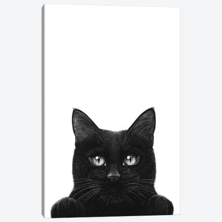 Peeping Black Cat With Paws Canvas Print #VAK202} by Valeriya Korenkova Canvas Art