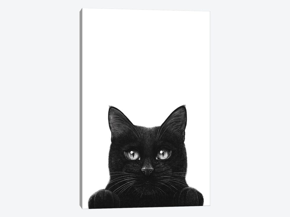 Peeping Black Cat With Paws by Valeriya Korenkova 1-piece Canvas Artwork