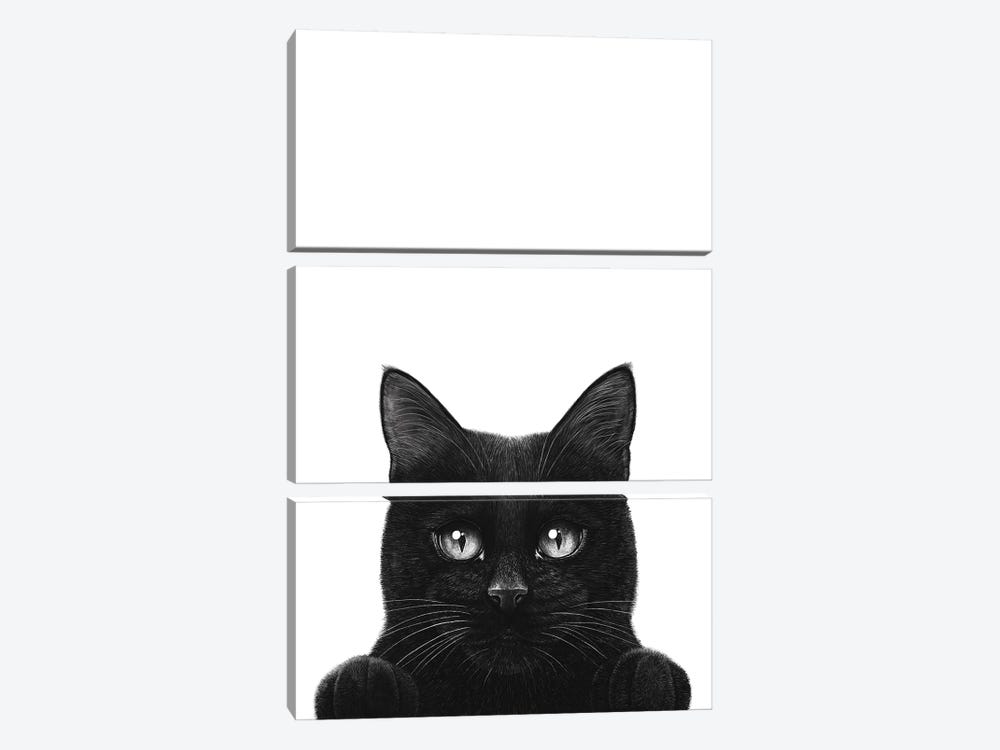 Peeping Black Cat With Paws by Valeriya Korenkova 3-piece Canvas Art