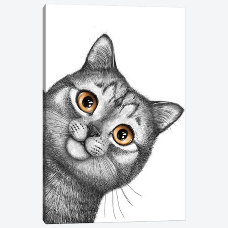 Gray Cat Canvas Print #VAK203} by Valeriya Korenkova Canvas Artwork