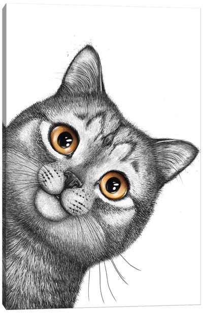 Gray Cat Canvas Art Print - Valeriya Korenkova