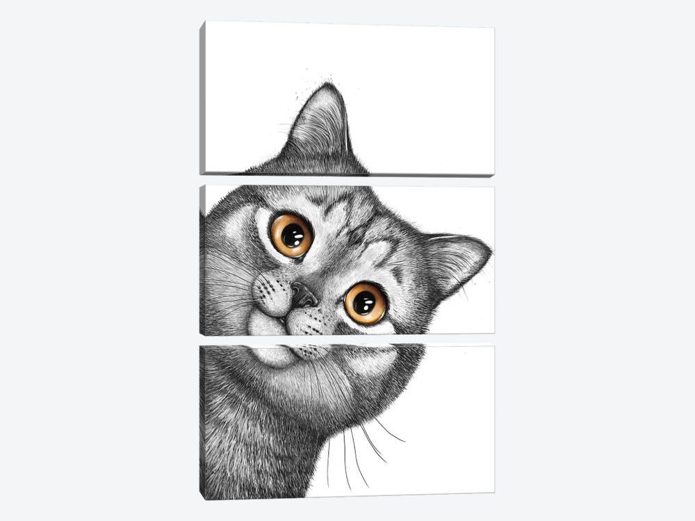Gray Cat by Valeriya Korenkova 3-piece Canvas Print