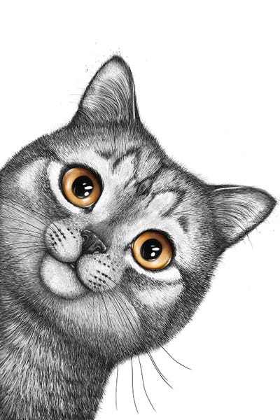 Canvas Print: Gray Cat by Valeriya Korenkova