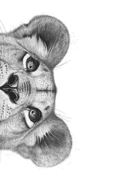 Canvas Print: The Lioness by Valeriya Korenkova
