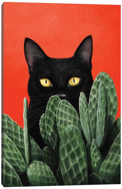 Black Cat In Cactuses Canvas Art Print - Valeriya Korenkova