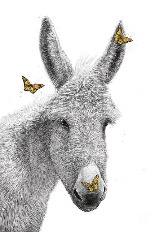 Donkey With Butterfly by Valeriya Korenkova wall art