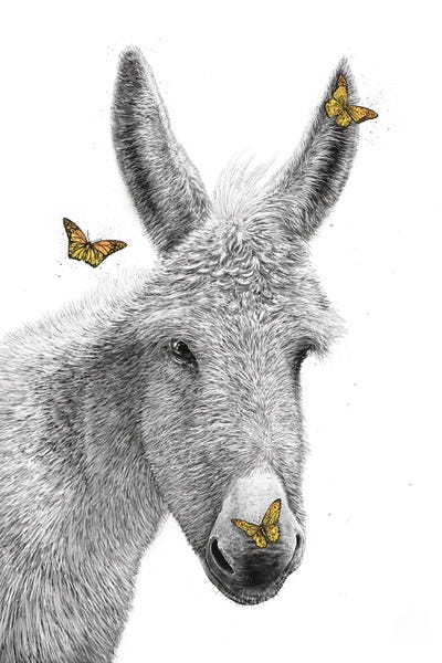 Donkeys: Donkey With Butterfly by Valeriya Korenkova