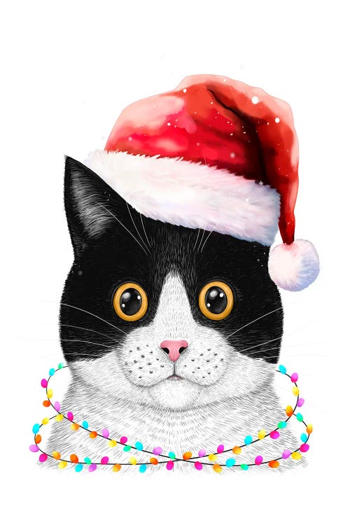 Santa Cat by Valeriya Korenkova wall art