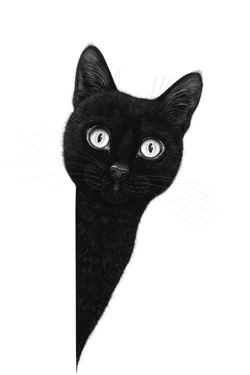Curious Black Cat by Valeriya Korenkova wall art
