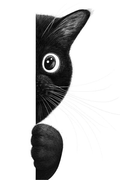 Black Cats: Funny Cat by Valeriya Korenkova