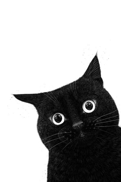 Valeriya Korenkova: Funny Peeping Black Cat by Valeriya Korenkova