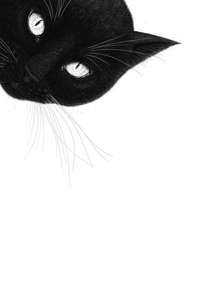 Fine Art Print: Black Cat On Top by Valeriya Korenkova