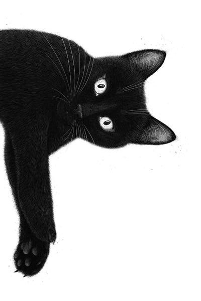 Fine Art Print: Hanging Black Cat by Valeriya Korenkova