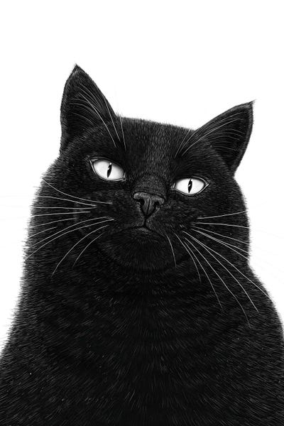 Fine Art Print: A Serious Black Cat by Valeriya Korenkova