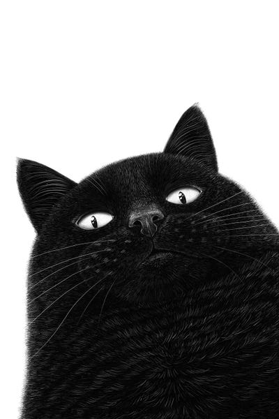 Fine Art Print: Black Cat Observer by Valeriya Korenkova