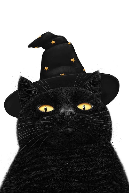 Halloween Black Cat by Valeriya Korenkova wall art