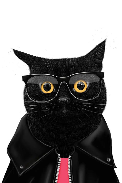 Stylish Black Cat by Valeriya Korenkova wall art