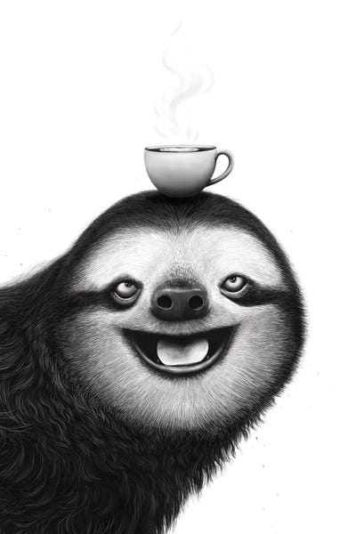 Sloth With Cappuccino