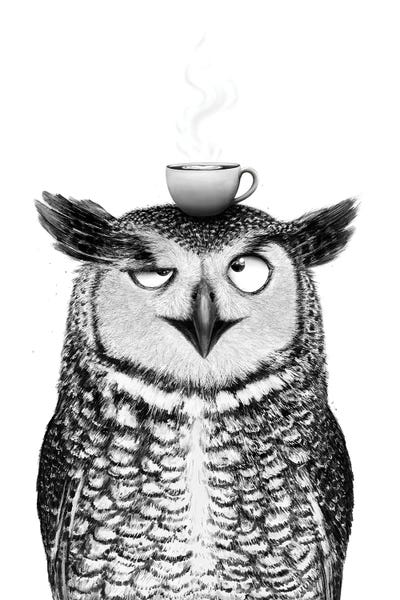 Owl With Cappuccino
