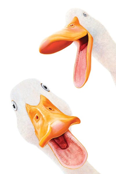 Cream Art - Canvas Prints: Funny Ducks by Valeriya Korenkova