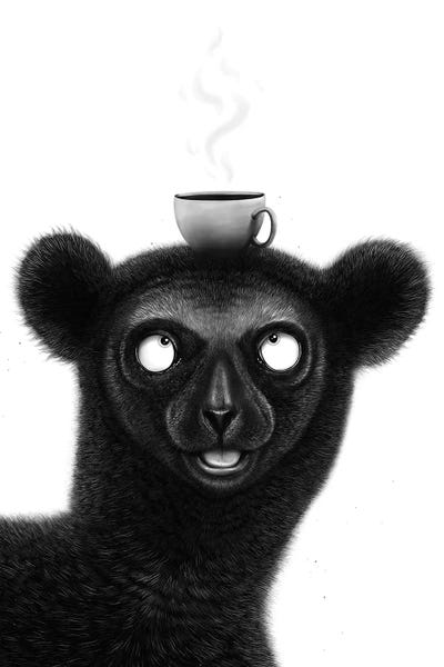 Lemur With Espresso