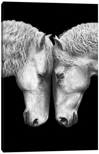 Horse Love On Black Canvas Art Print - Valeriya Korenkova