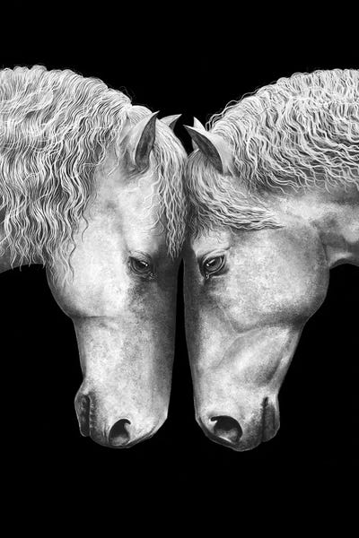Black & White Drawings & Illustrations: Horse Love On Black by Valeriya Korenkova