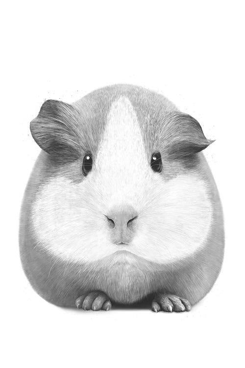 Guinea Pig Girl by Valeriya Korenkova wall art