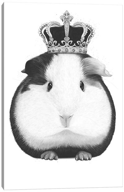 Guinea Pig King Canvas Art Print - Rodent Art