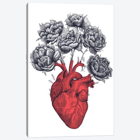 Heart With Peonies Canvas Print #VAK30} by Valeriya Korenkova Canvas Artwork