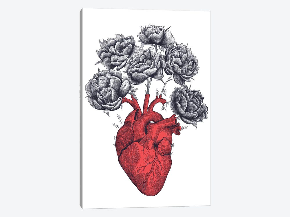 Heart With Peonies by Valeriya Korenkova 1-piece Canvas Print