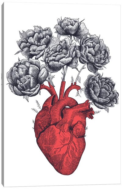 Heart With Peonies Canvas Art Print - Valeriya Korenkova