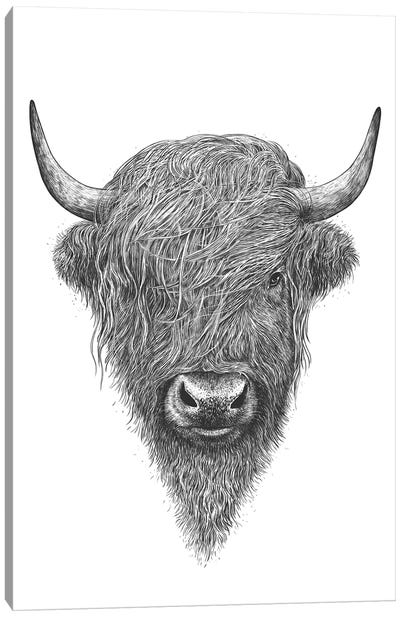 Highland Cow Canvas Art Print - Valeriya Korenkova