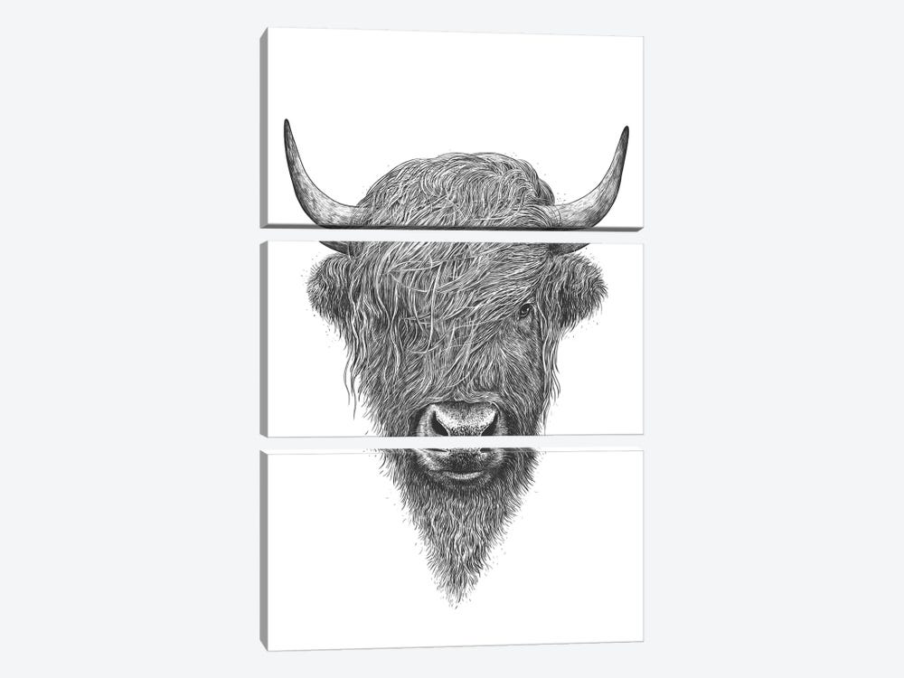 Highland Cow by Valeriya Korenkova 3-piece Canvas Wall Art