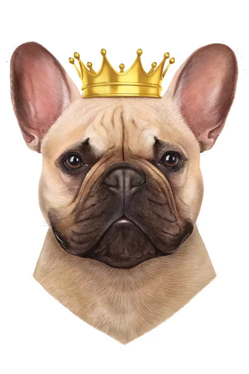 French Bulldog